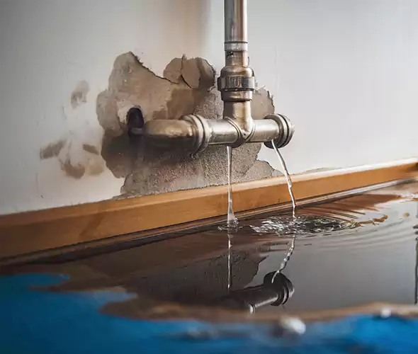 Professional Water Damage Restoration Experts in Weston, FL — Fast, Reliable & Certified