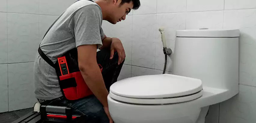 Toilet Repair in Weston