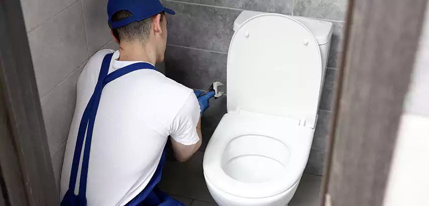 Toilet Lid Replacement in Weston