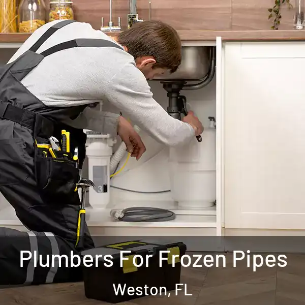  Plumbers For Frozen Pipes Weston, FL