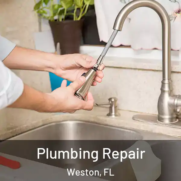  Plumbing Repair Weston, FL
