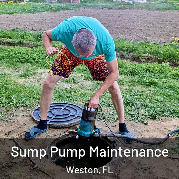  Sump Pump Maintenance Weston, FL