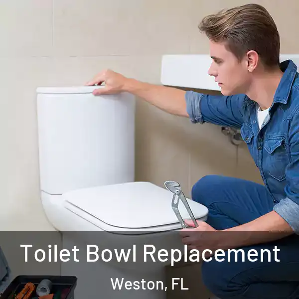  Toilet Bowl Replacement Weston, FL