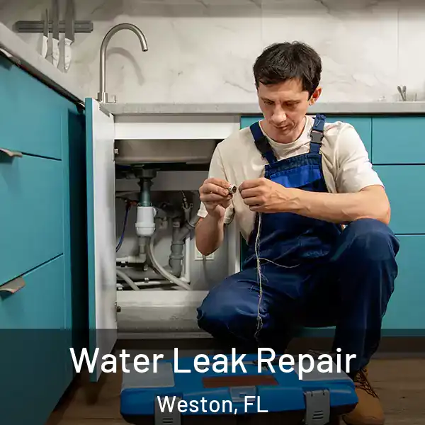  Water Leak Repair Weston, FL